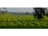 GELİNCİK KÖYÜ - SAHİBİNDEN SATILIK ARSA